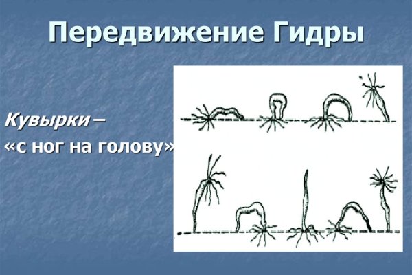Найти зеркало кракена