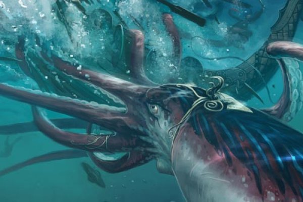 Kraken 22 аt