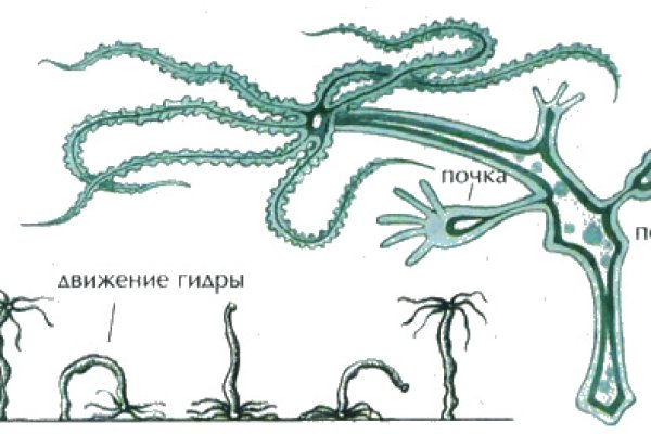 Что такое кракен маркетплейс курительный смесс