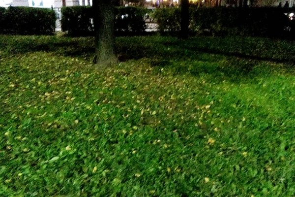 Кракен даркнет площадка ссылка