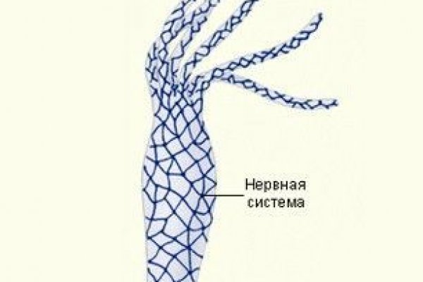 Войти даркнет