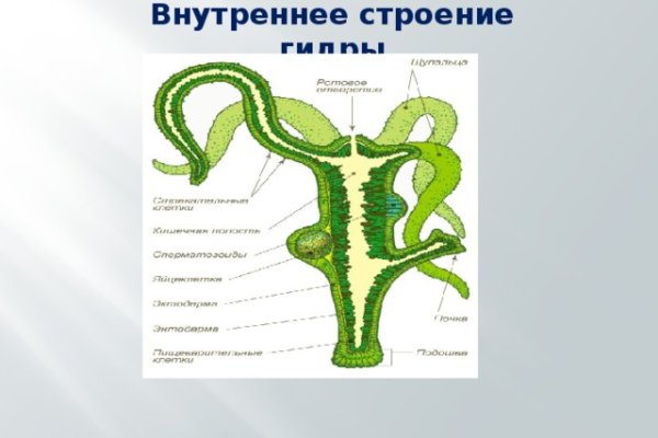 Kraken новая ссылка
