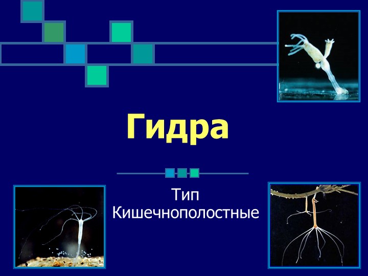 Кракен сыл ссылка
