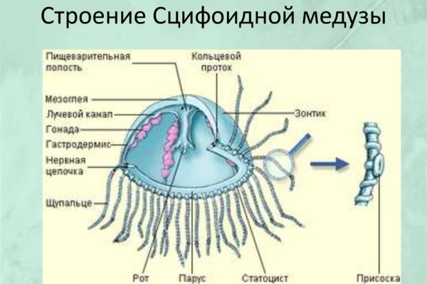 Кракен питер