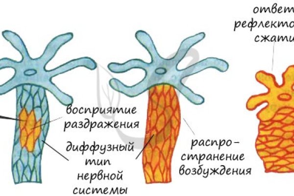 Кракен зеркало сегодня